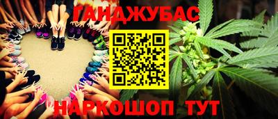 индика Пенза