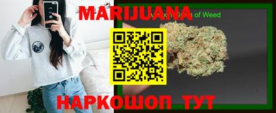 индика Пенза