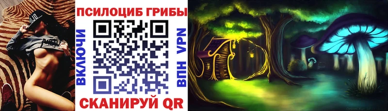 Псилоцибиновые грибы прущие грибы  Удомля 