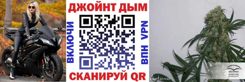 Шишки марихуана THC 21%  как найти закладки  Удомля 