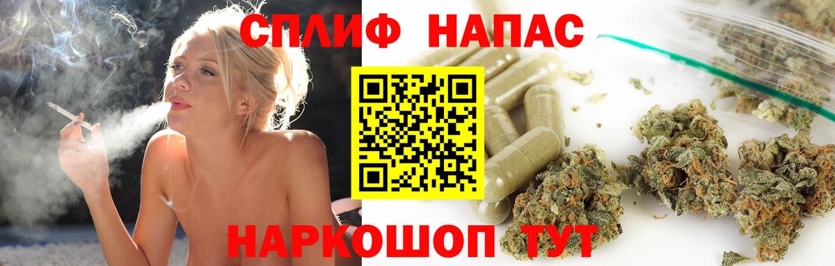 Конопля планчик Удомля